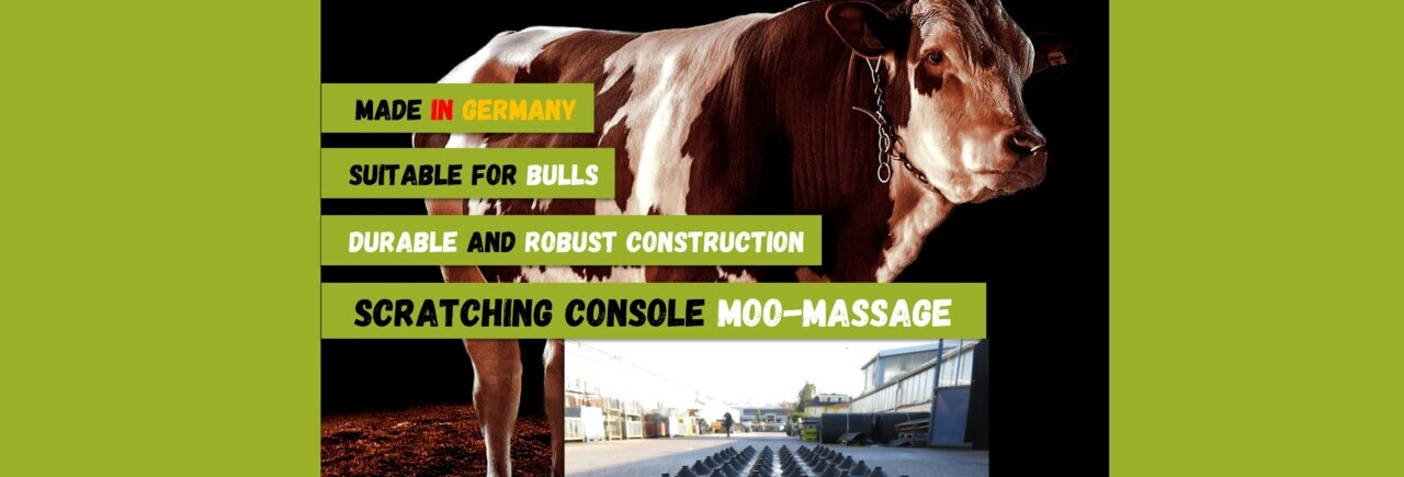 Scratching console HT MOO-Massage