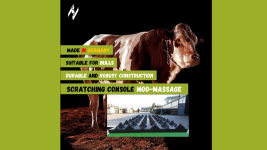 Scratching console HT MOO-Massage